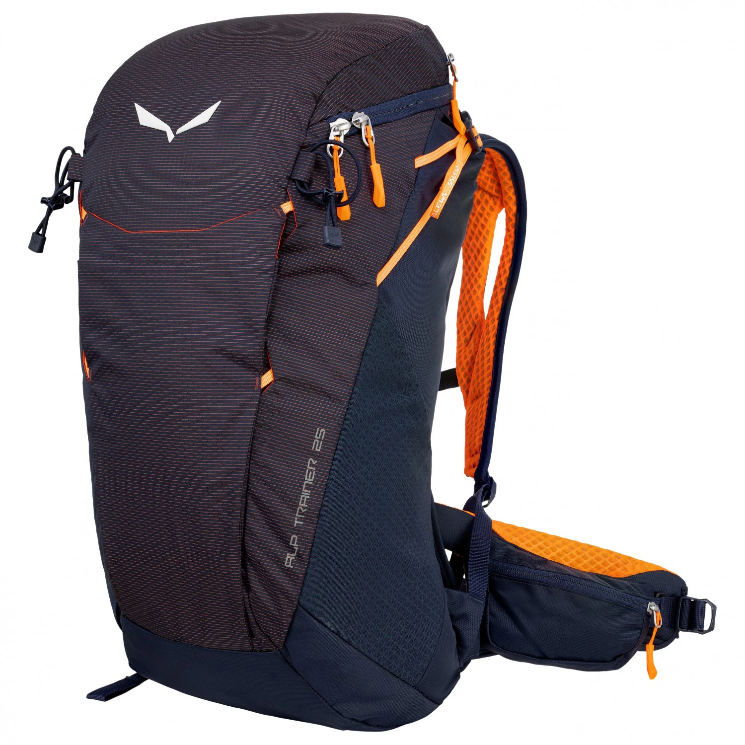 SALEWA Alp Trainer 25 - Wanderrucksack 1 SALEWA Alp Trainer 25 - Wanderrucksack